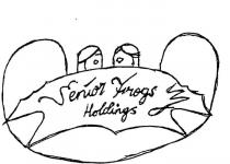 SENIOR FROGS HOLDINGS