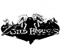 WILD HORSES