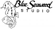 BLUE SEAWEED STUDIO