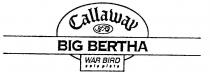 CALLAWAY S2H2 BIG BERTHA WAR BIRD SOLE PLATE
