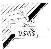 DSGS
