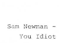 SAM NEWMAN - YOU IDIOT