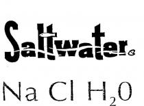 SALTWATER NA CL H2O