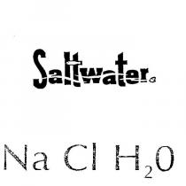 SALTWATER NA CL H2O