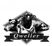 QWELLER