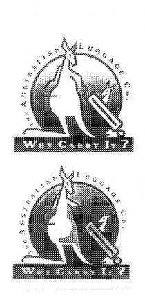 THE AUSTRALIAN LUGGAGE CO WHY CARRY IT?