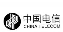 DP CHINA TELECOM