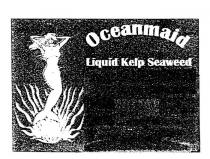 OCEANMAID LIQUID KELP SEAWEED
