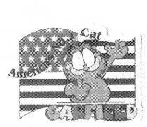 GARFIELD AMERICA'S NO. 1 CAT