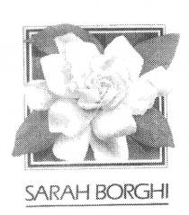 SARAH BORGHI