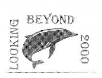 LOOKING BEYOND 2000