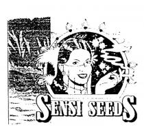SENSI SEEDS