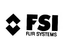 FSI FLIR SYSTEMS