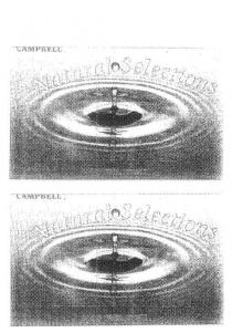 CAMPBELL NATURAL SELECTIONS