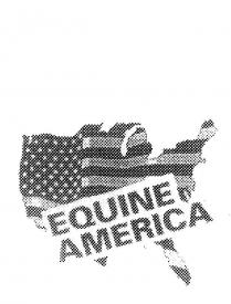 EQUINE AMERICA