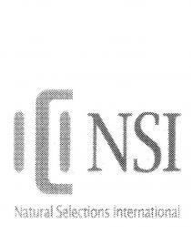 NSI NATURAL SELECTIONS INTERNATIONAL
