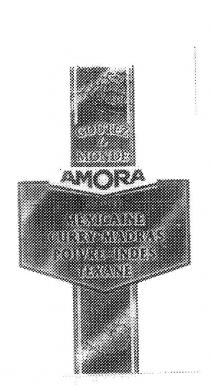 GOUTEZ LE MONDE AMORA 4 SAUCES MEXICAINE CURRY DE MADRAS POIVRE DES;INDES TEXANE