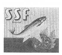 SSF BRAND