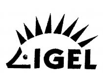 IGEL