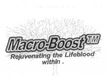 MACRO-BOOST REJUVENATING THE LIFEBLOOD WITHIN