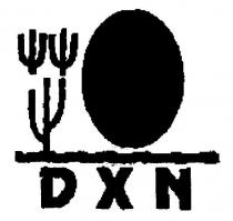 DXN