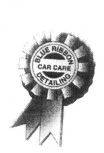 BLUE RIBBON CAR CARE DETAILING