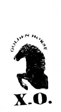 GOLDEN HORSE X.O.