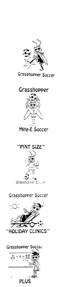GRASSHOPPER SOCCER;GRASSHOPPER MITE-E SOCCER;