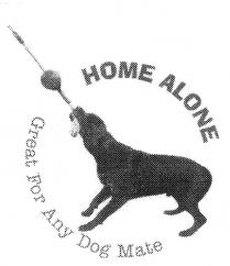 HOME ALONE GREAT FOR ANY DOG MATE