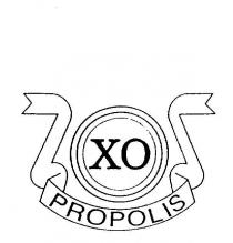 XO PROPOLIS
