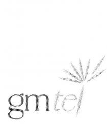 GMTEL