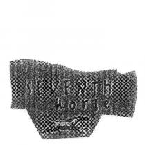 SEVENTH HORSE