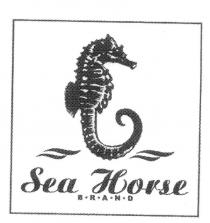 SEA HORSE B.R.A.N