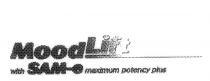 MOOD LIFT WITH SAM-E MAXIMUM POTENCY PLUS