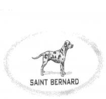 SAINT BERNARD