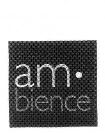 AM BIENCE
