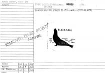 BLACK SEAL