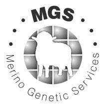 MGS MERINO GENETIC SERVICES