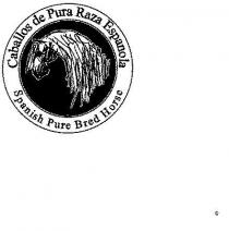 CABALLOS DE PURA RAZA ESPANOLA SPANISH PURE BRED HORSE