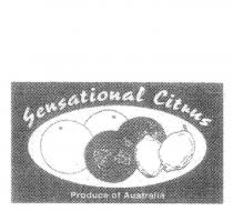 SENSATIONAL CITRUS