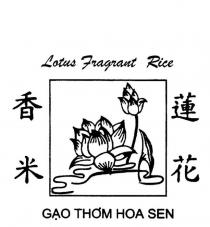 LOTUS FRAGRANT RICE GAO THOM HOA SEN
