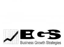 BGS BUSINESS GROWTH STRATEGIES