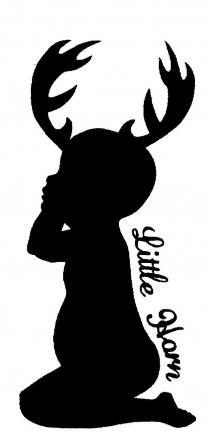 LITTLE HORN