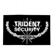 TRIDENT SECURITY