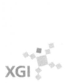 XGI