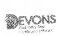 DEVONS RED RUBY BEEF FERTILE AND EFFICIENT