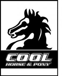 COOL HORSE & PONY