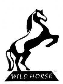 WILD HORSE