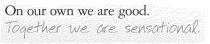 ON OUR OWN WE ARE GOOD. TOGETHER WE ARE SENSATIONAL.