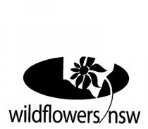 WILDFLOWERS NSW